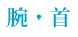 腕・首